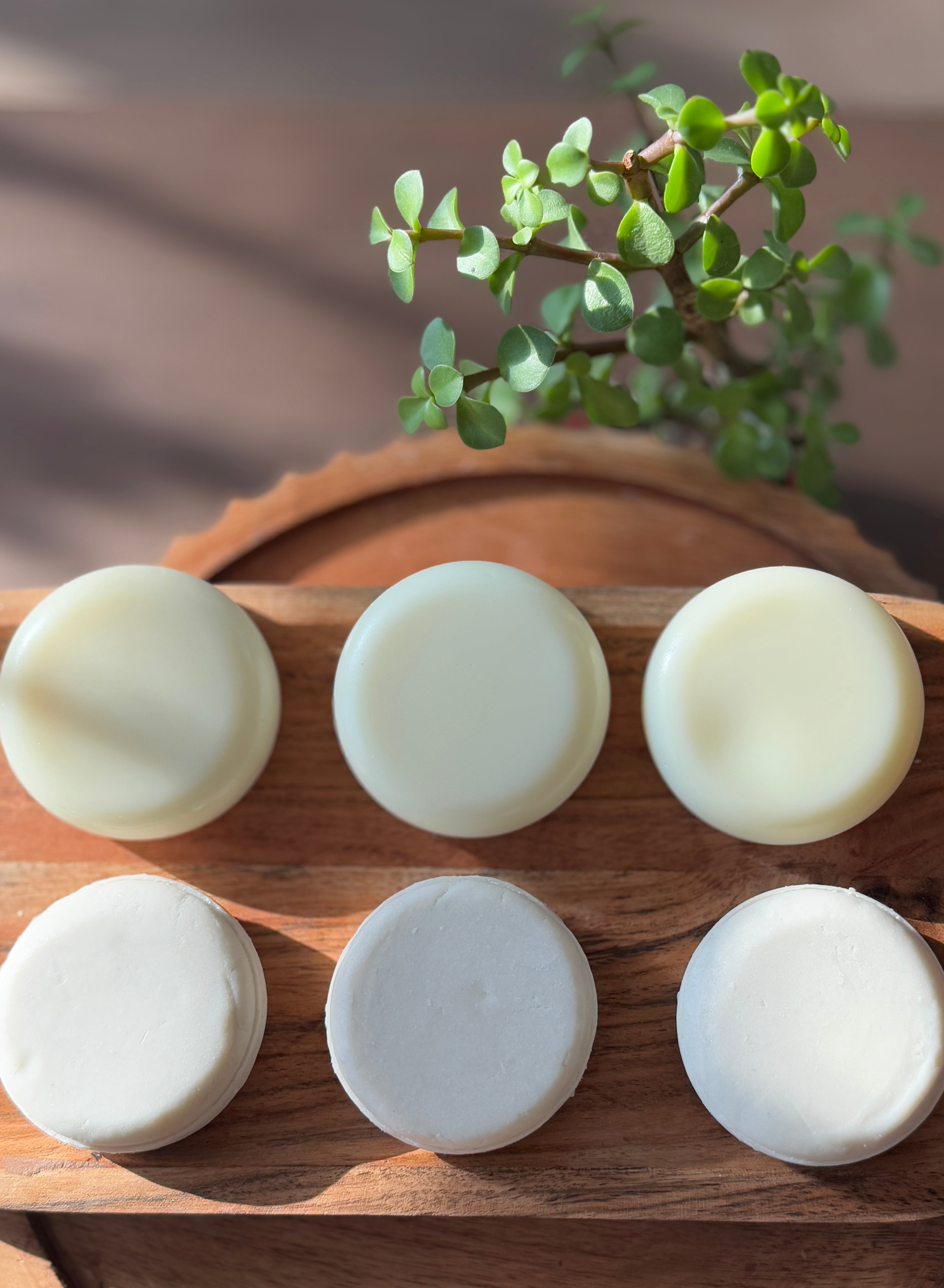 Shampoo & Conditioner Bundles