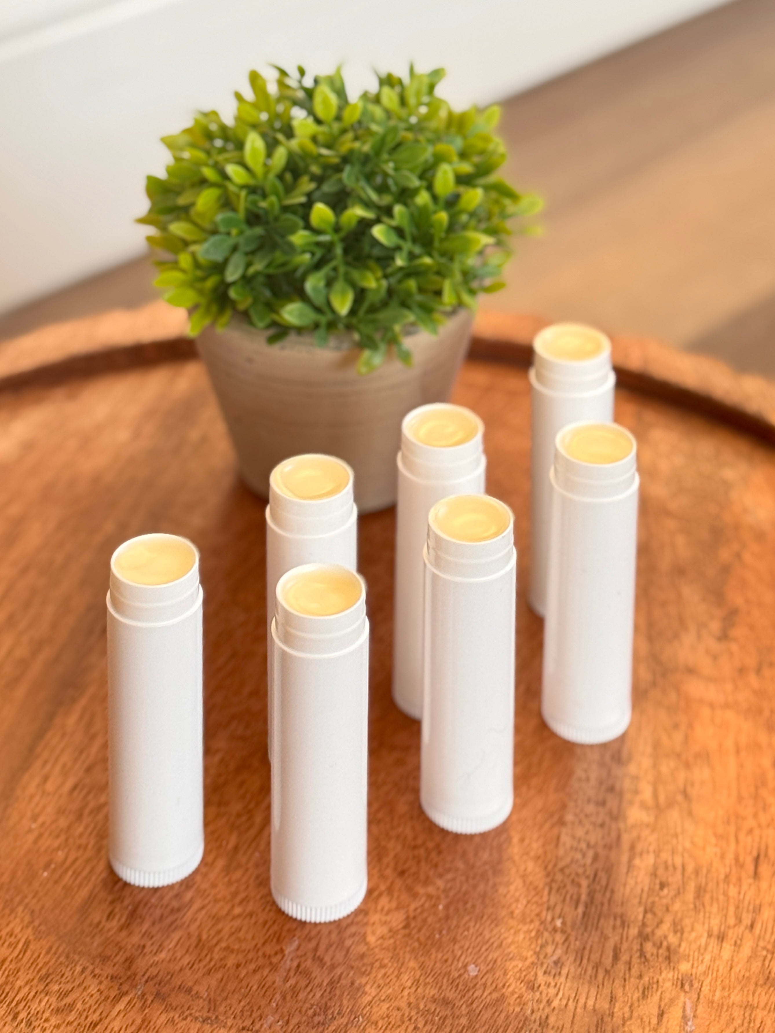Tallow Lip Balms
